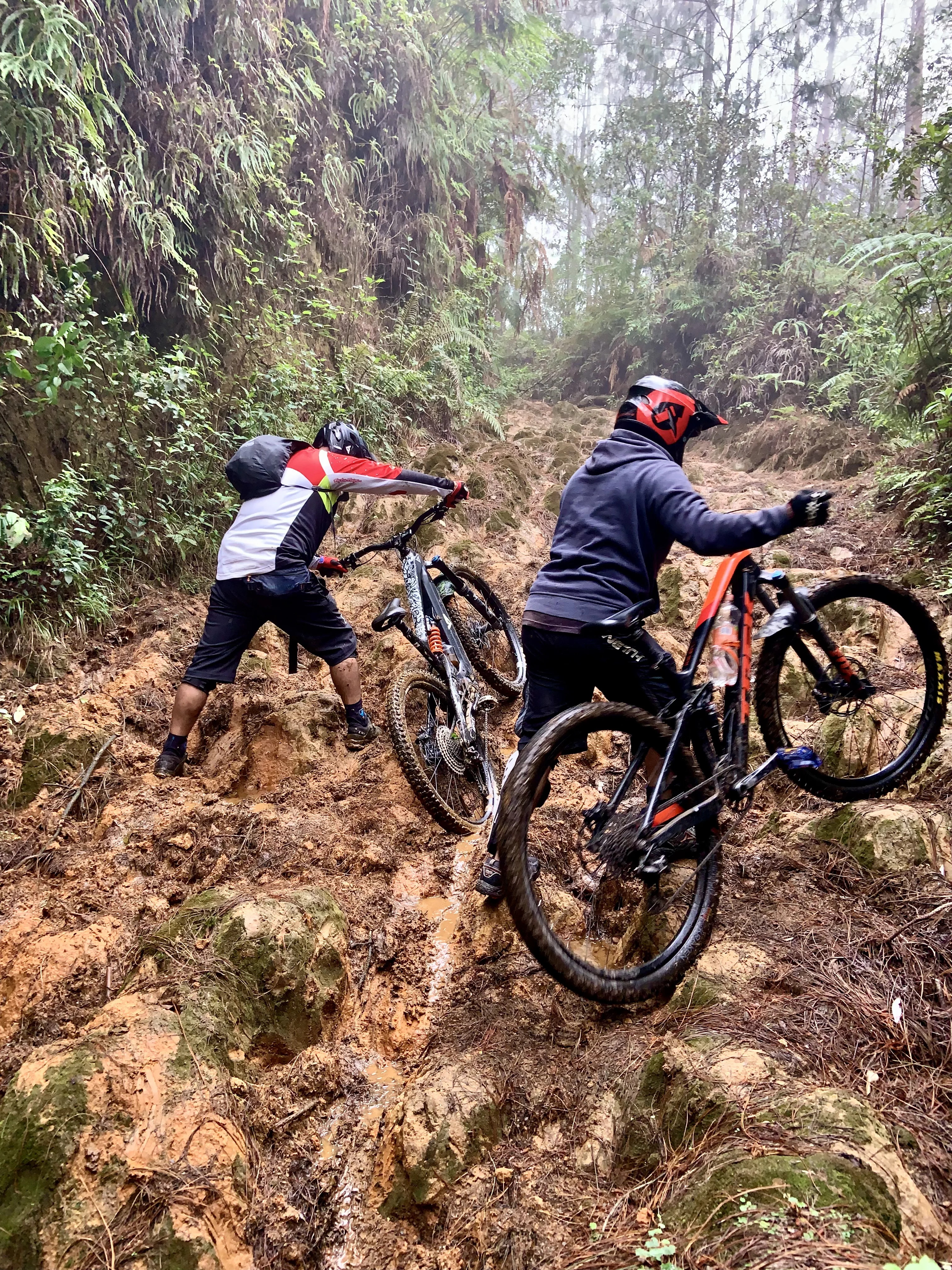 El Rosario - Coatepec