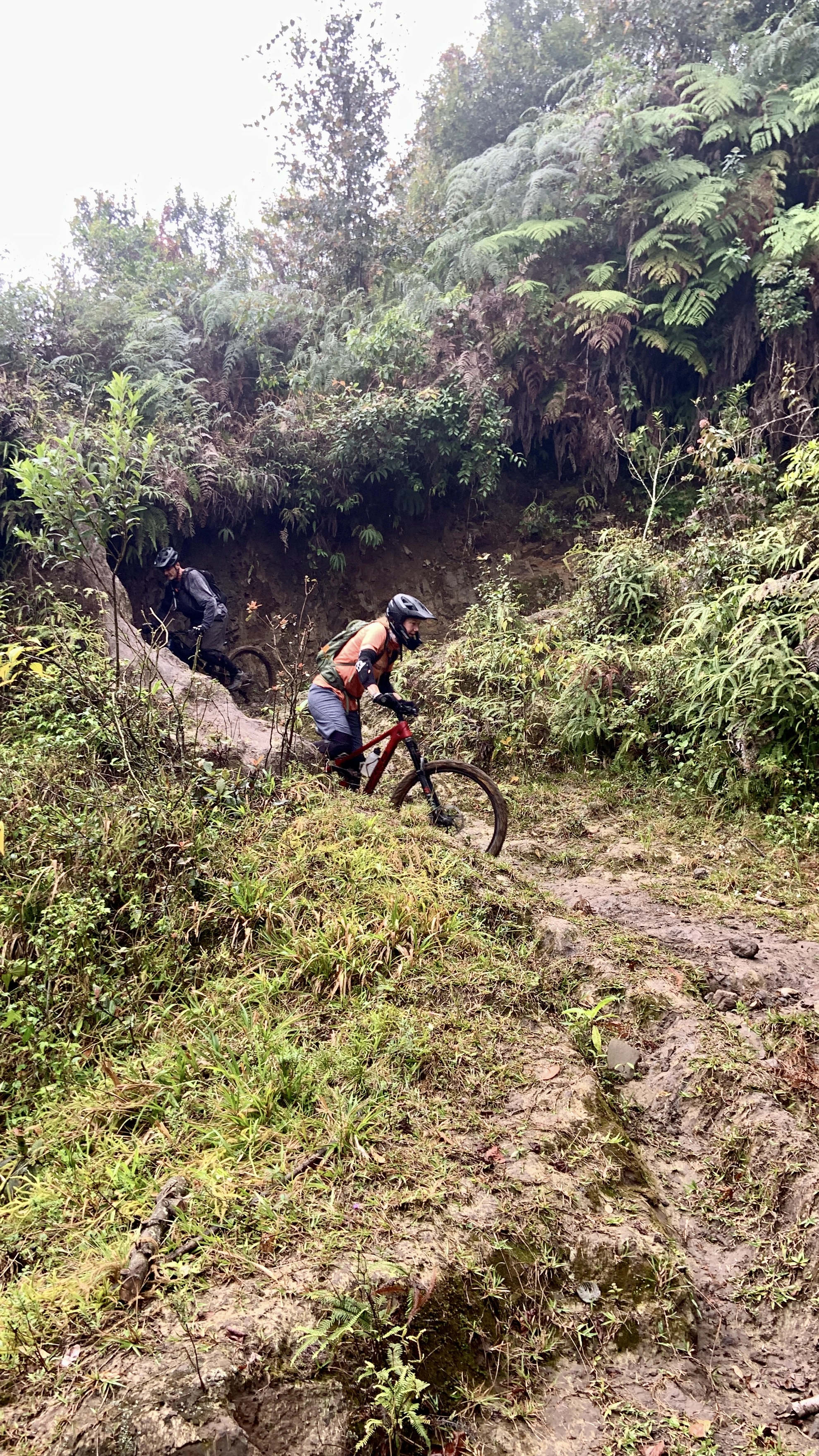 El Rosario - Coatepec