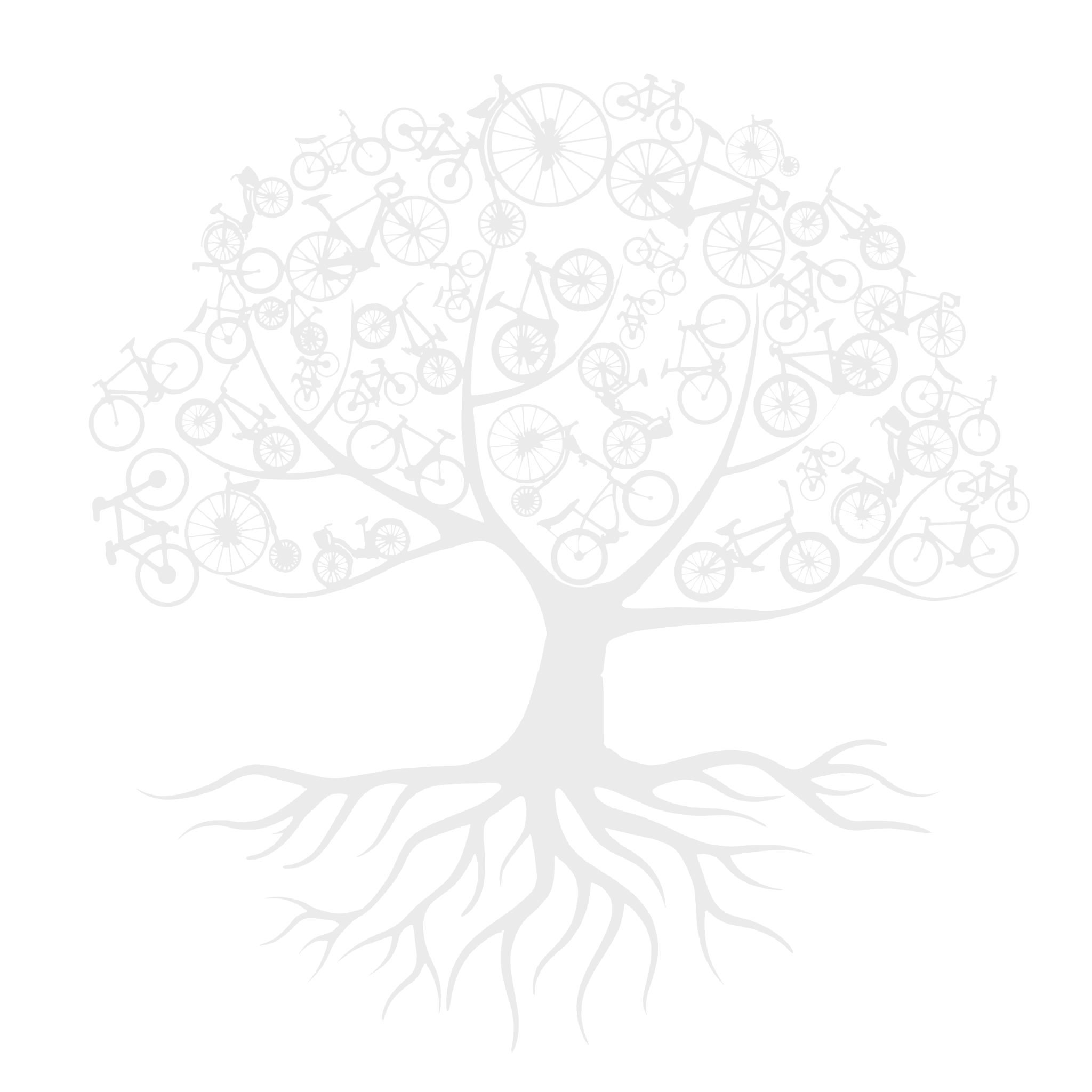 Logo Physis Ciclovida A.C.